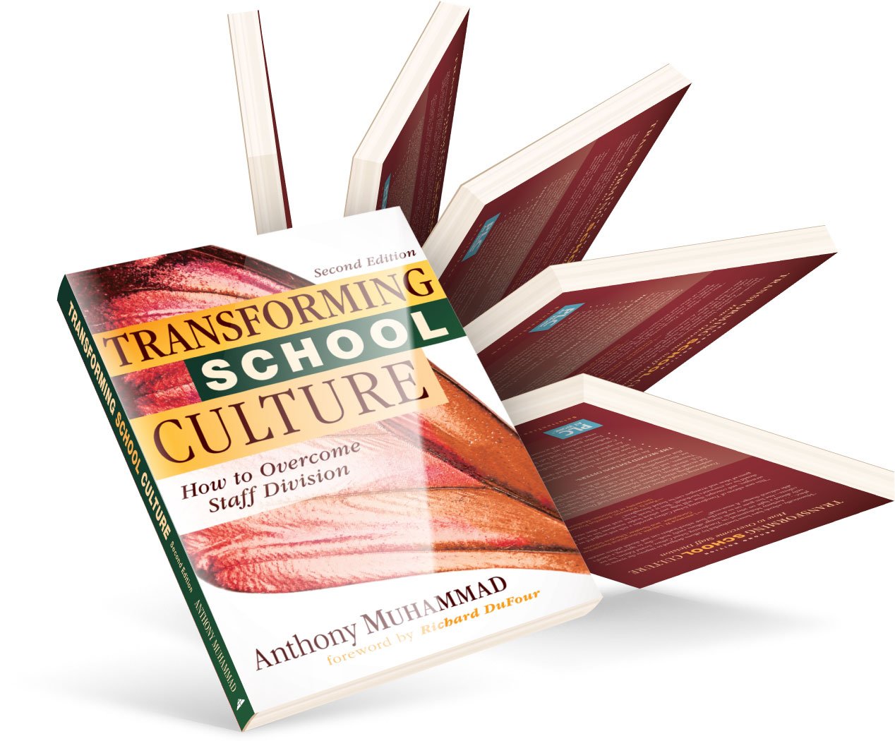 K12 Professional Development Solution Tree